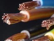elektrikci