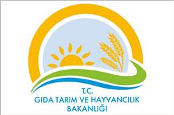 Sağlık Bakanlığı