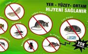 ev ilaçlama