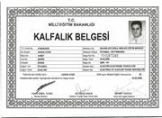Kalfalık Belgesi
