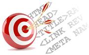 Web Tasarım